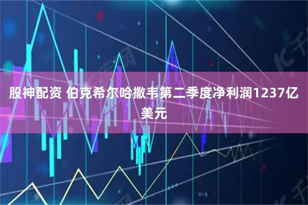 股神配资 伯克希尔哈撒韦第二季度净利润1237亿美元