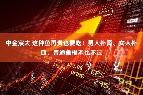 中金宸大 这种鱼再贵也要吃！男人补肾、女人补血，普通鱼根本比不过